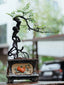 bonsai