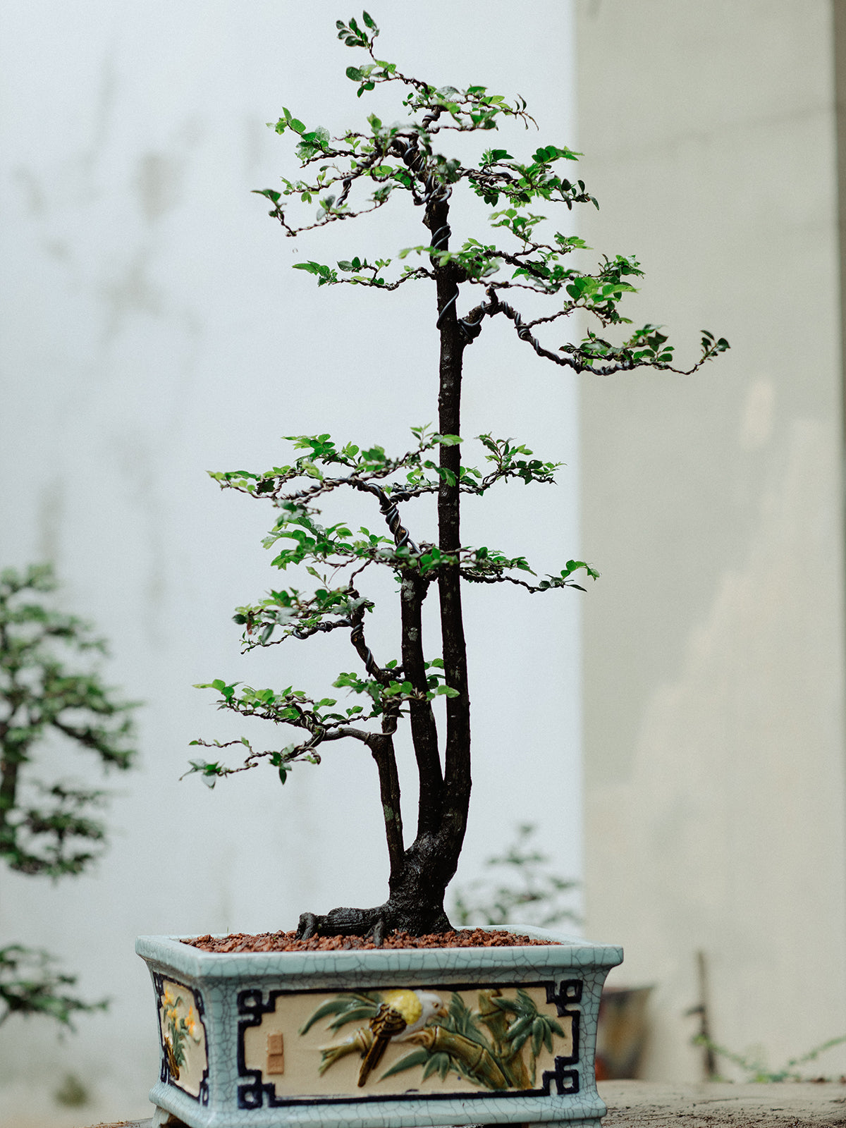 tung den 04